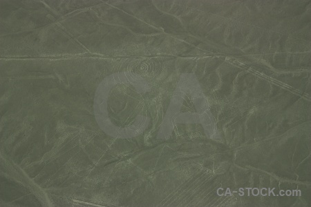 Aerial monkey peru south america nazca.