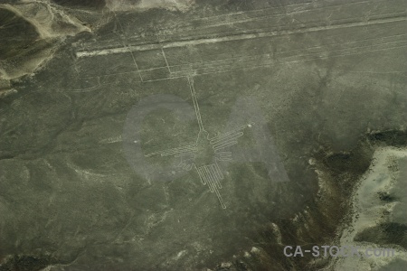 Aerial nazca geoglyph animal south america.