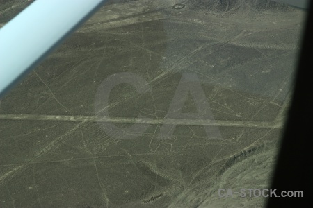 Aerial south america geoglyph whale flying.