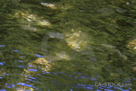 Algar river water green spain.