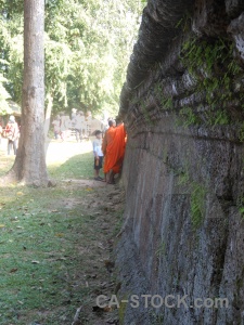 Angkor siem reap unesco southeast asia tree.