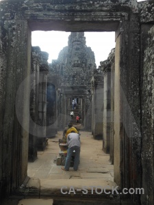 Angkor thom temple siem reap cambodia fungus.