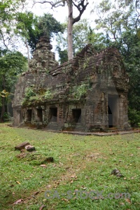 Angkor unesco grass tree stone.