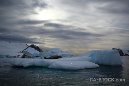 Antarctic peninsula mountain iceberg marguerite bay south pole.