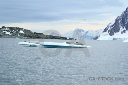 Antarctica cruise antarctica mountain ice sky.