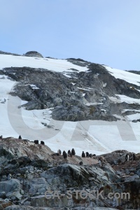 Antarctica cruise chick south pole day 8 ice.