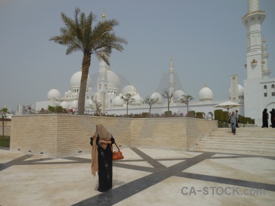 Arabian muslim palm tree person dome.