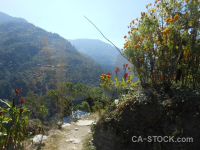 Asia annapurna sanctuary trek tree mountain sky.