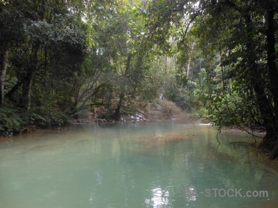 Asia laos rock vegetation river.