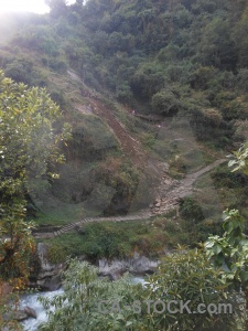 Asia nepal trek leaf path.
