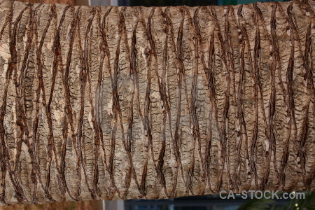 Bark brown texture wood.