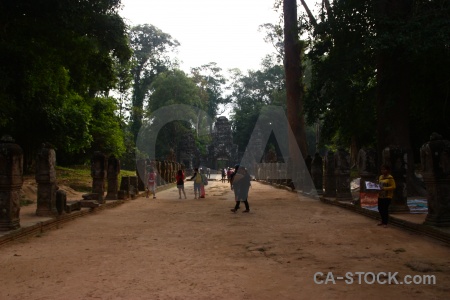 Block column buddhist cambodia tree.