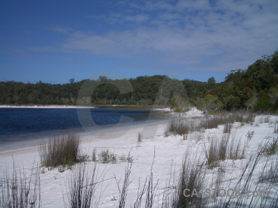 Blue coast landscape.