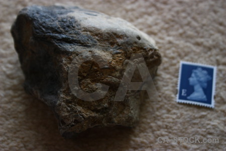 Blue fossil object.