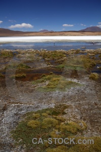 Bolivia altitude grass andes lake.