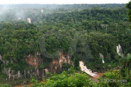 Brazil unesco iguacu falls water tree.