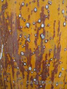 Brown texture orange nature yellow.