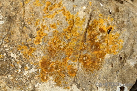 Brown yellow orange rock stone.