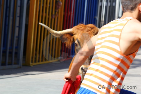 Bull running horn europe person brown.