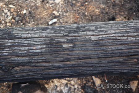 Burnt javea wood europe texture.