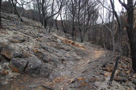 Burnt montgo fire ash europe rock.