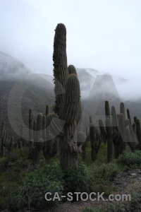 Calchaqui valley mountain salta tour cactus cloud.
