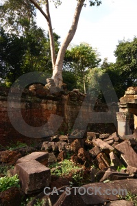 Cambodia column block unesco tree.