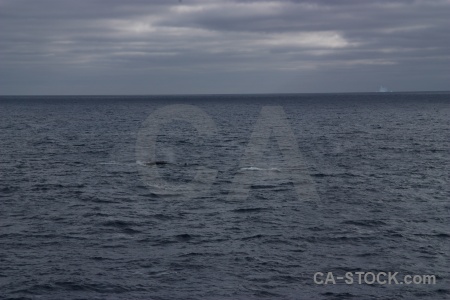 Cloud animal drake passage water day 4.