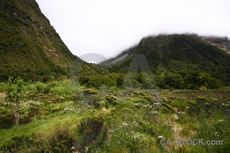 Cloud grass south island landscape sky.