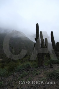 Cloud salta tour cactus calchaqui valley sky.