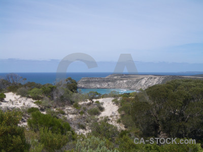 Coast green landscape.