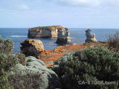 Coast landscape.