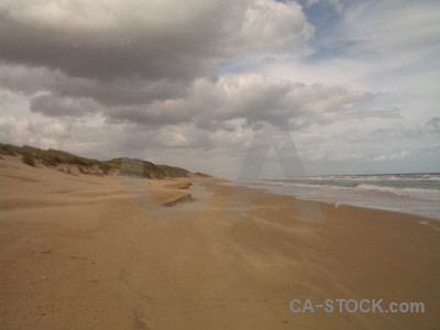 Coast landscape brown.