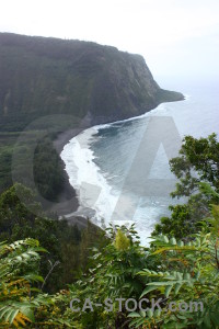 Coast white green landscape.