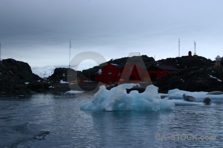 Crabeater ice marguerite bay debenham islands antarctic peninsula.