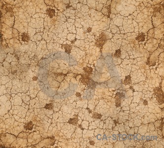 Crack soil brown texture.