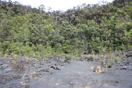 Crater lava volcanic green.