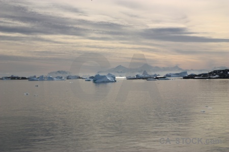 Day 5 antarctic peninsula sea antarctica cruise marguerite bay.