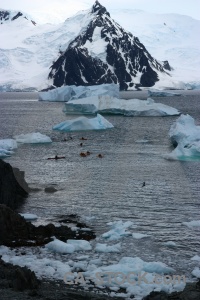 Day 6 sea antarctic peninsula mountain snowcap.