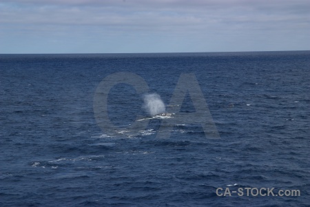 Drake passage cloud whale day 4 spray.