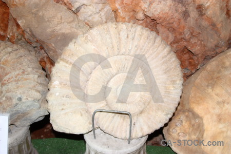 Europe fossil cueva de las calaveras benidoleig javea.