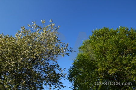 Europe sweden karlskrona sky tree.