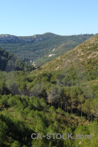 Europe tree sky green javea.