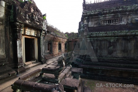 Fungus asia sky pillar cambodia.