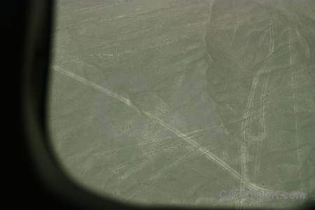 Geoglyph animal nazca lines flying dog.
