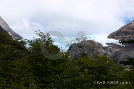 Glacier ice tree torres del paine mountain.