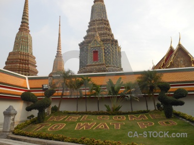 Grass gold buddhism bangkok temple.