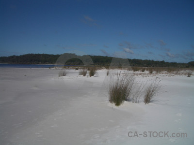 Gray blue landscape coast.