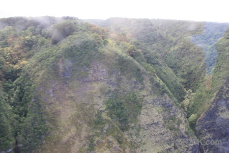 Gray landscape white mountain.