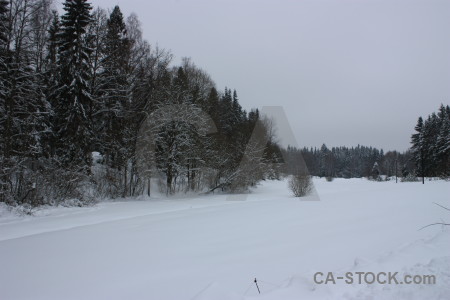 Gray winter landscape snow.